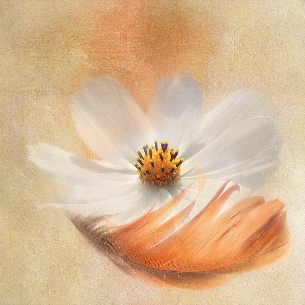  作： 