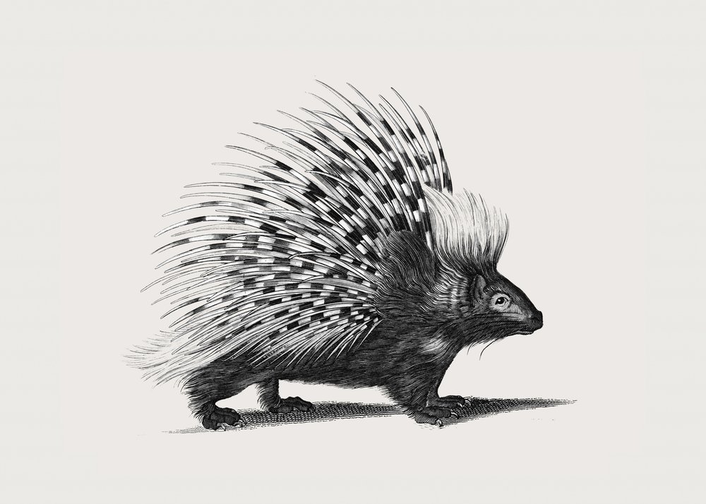  作： ジョージショー