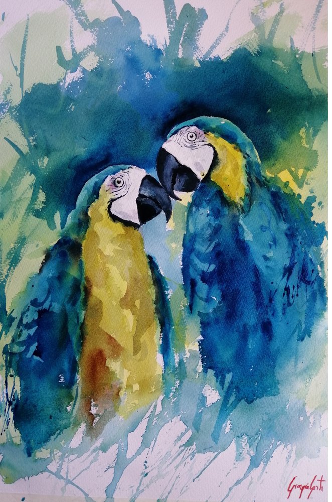 生き生きとしたコンゴウインコの仲間たち 作： 