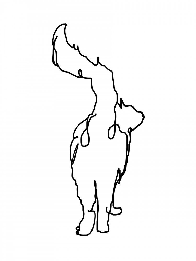  作： 