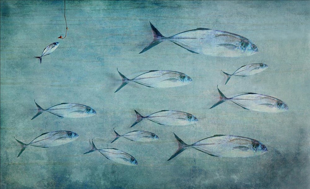 小さな魚、大きな釣り針 作： 