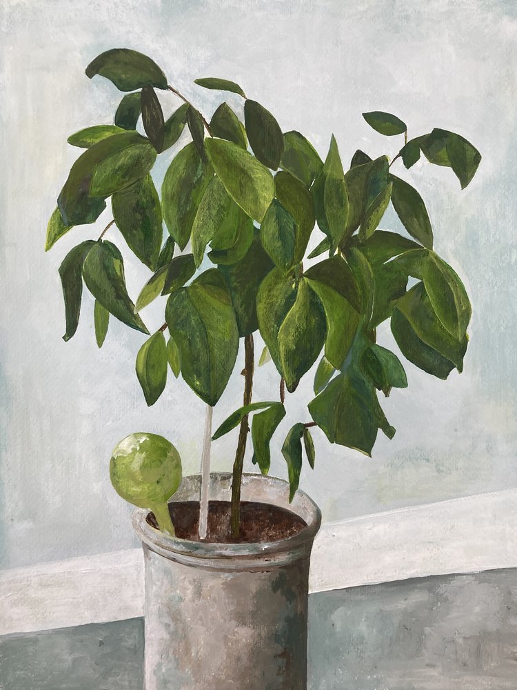 静物：鉢植え 作： 