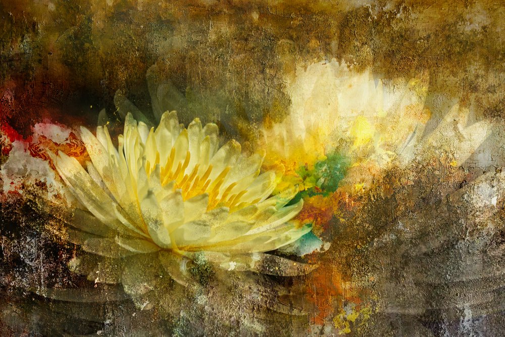 金色の蓮の花 作： 