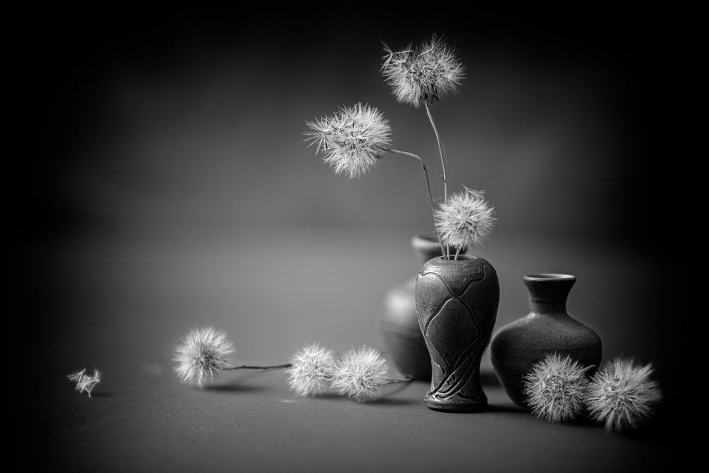 穏やかなタンポポの花瓶 作： 