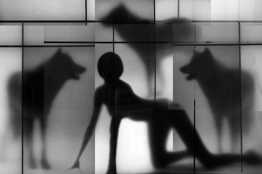 「女と狼の影」 作： 