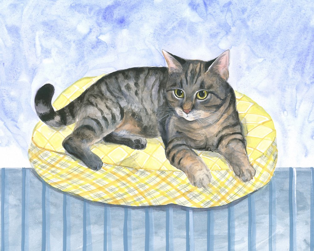 枕猫 作： 