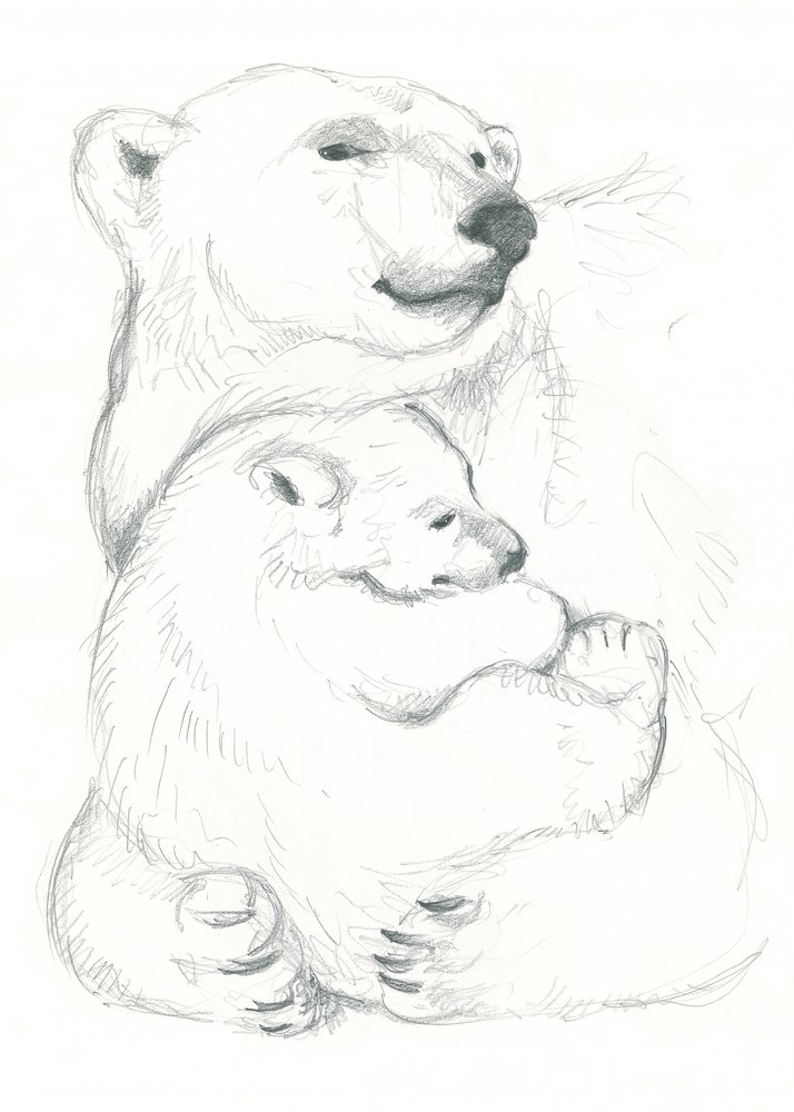 ホッキョクグマと子グマの素描 作： 