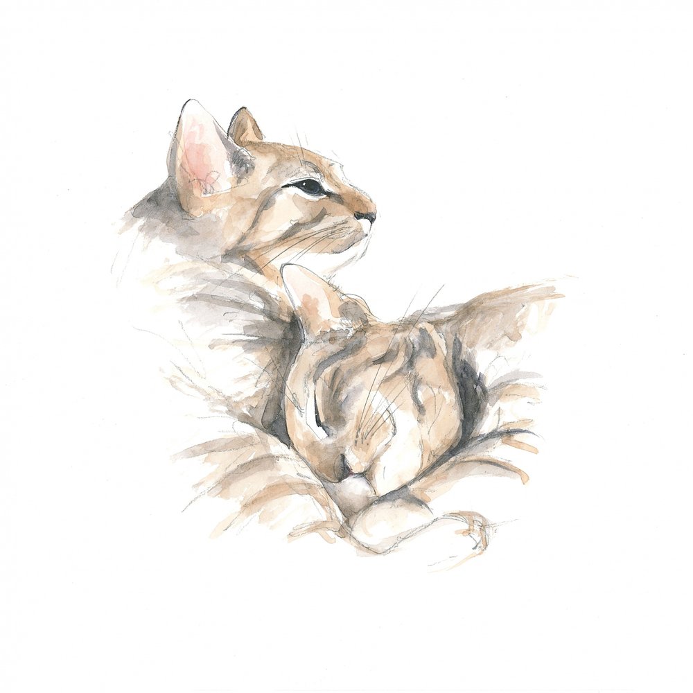 くつろぐ猫たち 作： 