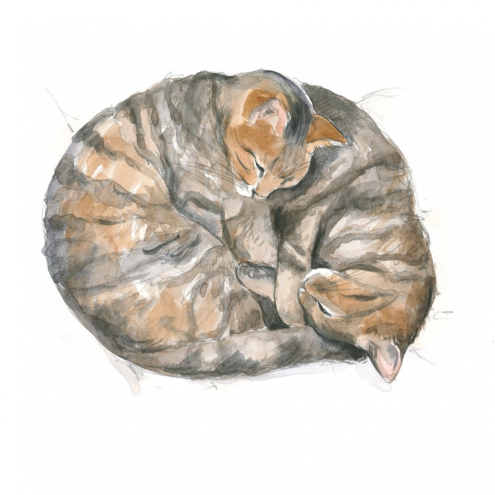 丸い猫たち 作： 