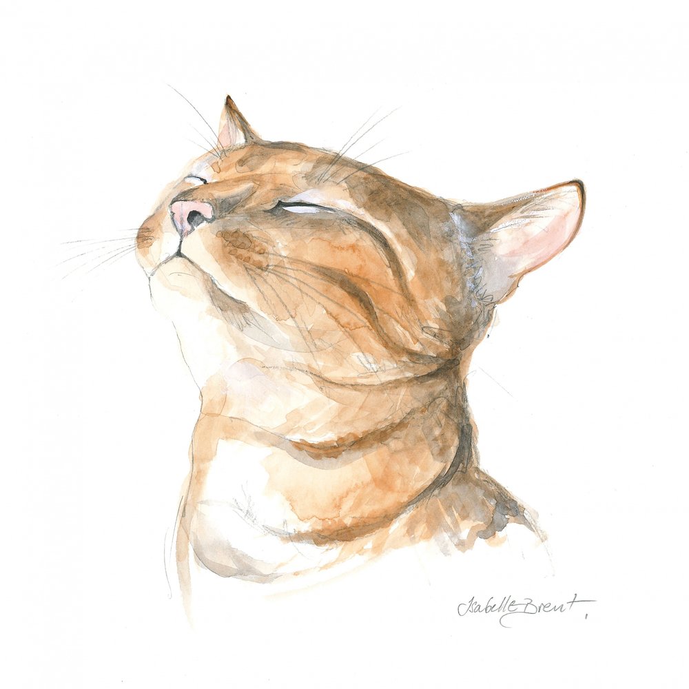 穏やかなトラネコ 作： 