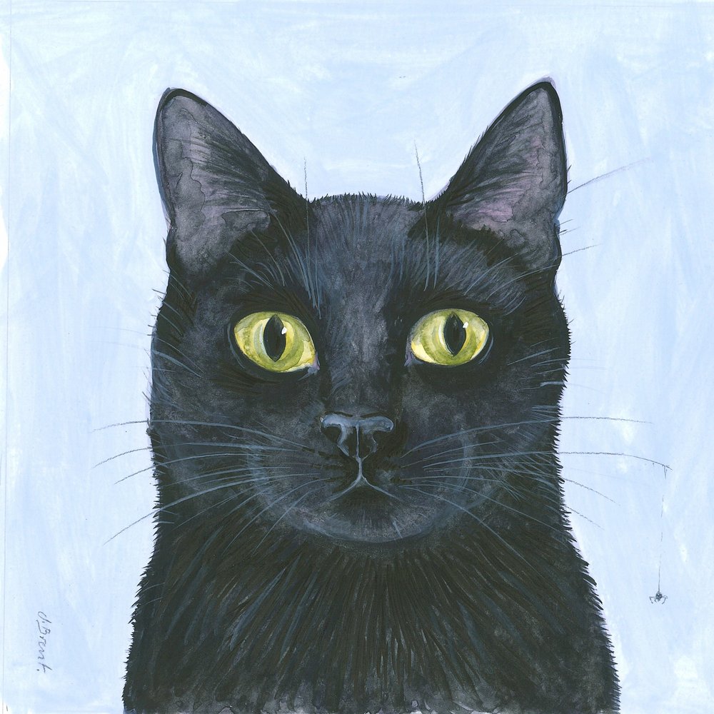 猫のひげ 作： 