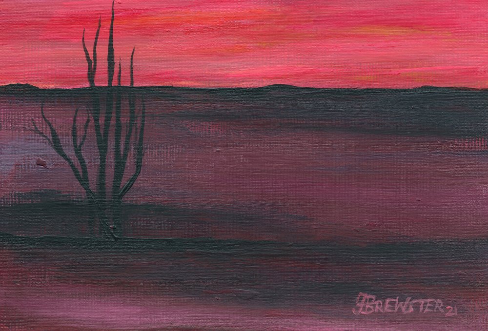 ピンクの砂漠の夕暮れ 作： 