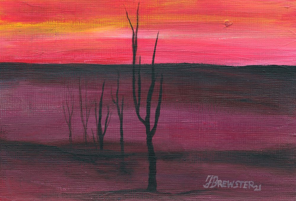 鮮やかな砂漠の夕日 作： 