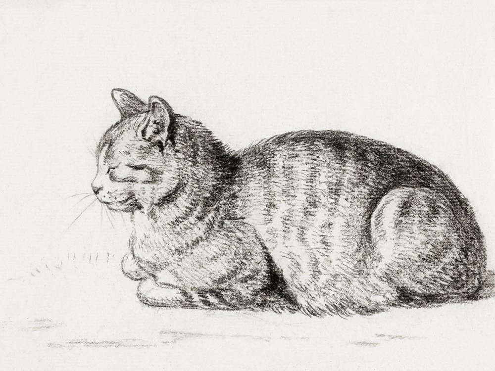 横たわる猫（1811年） 作： ジャン・バーナード