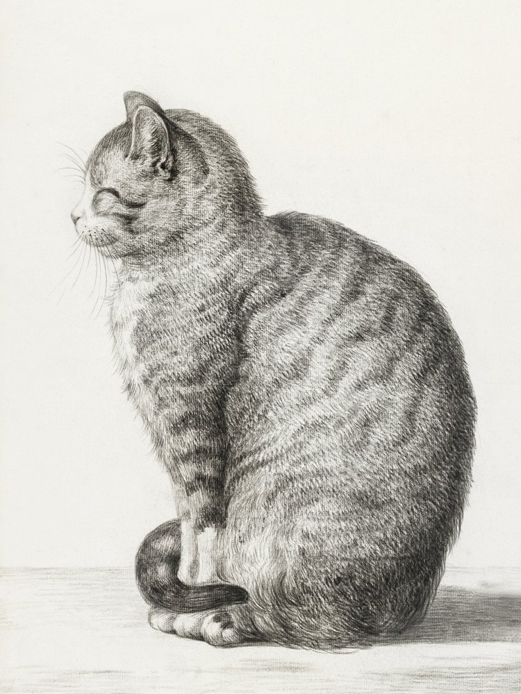 座る猫（1815年） 作： ジャン・バーナード