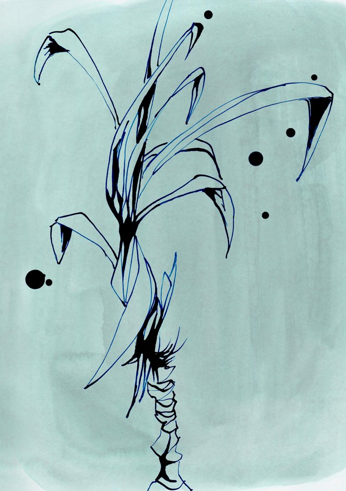 ミニマルな植物のイラスト 作： 