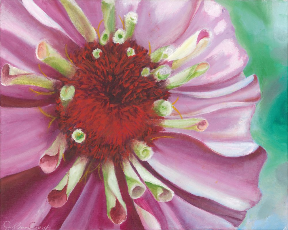 鮮やかなジニアの花 作： 