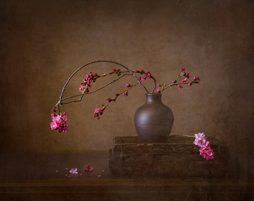桜の花の静物画 作： 