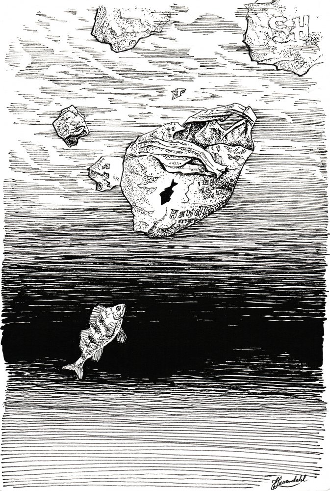 ビニールシートの下の魚 作： 