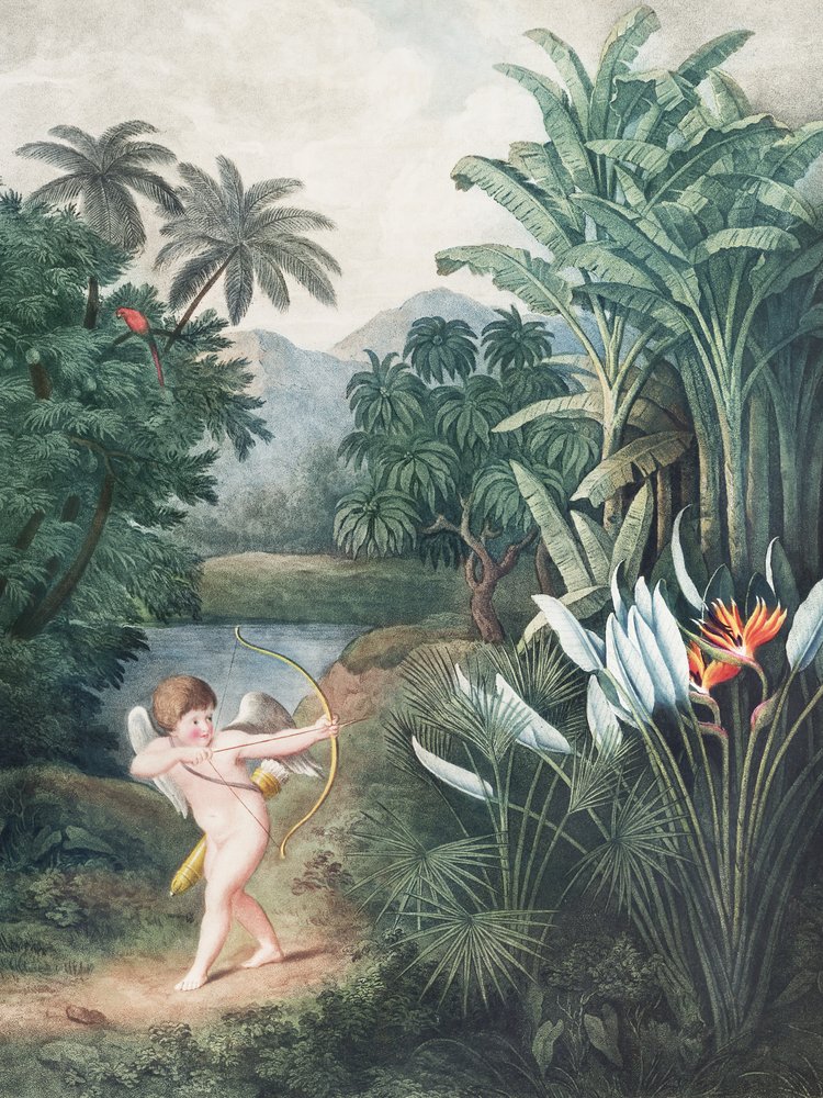 『フローラの神殿からの愛――キューピッドが植物に愛を吹き込む』（1807年） ロバート・ジョン・ソーントン作 作： ジョン・ソーントン