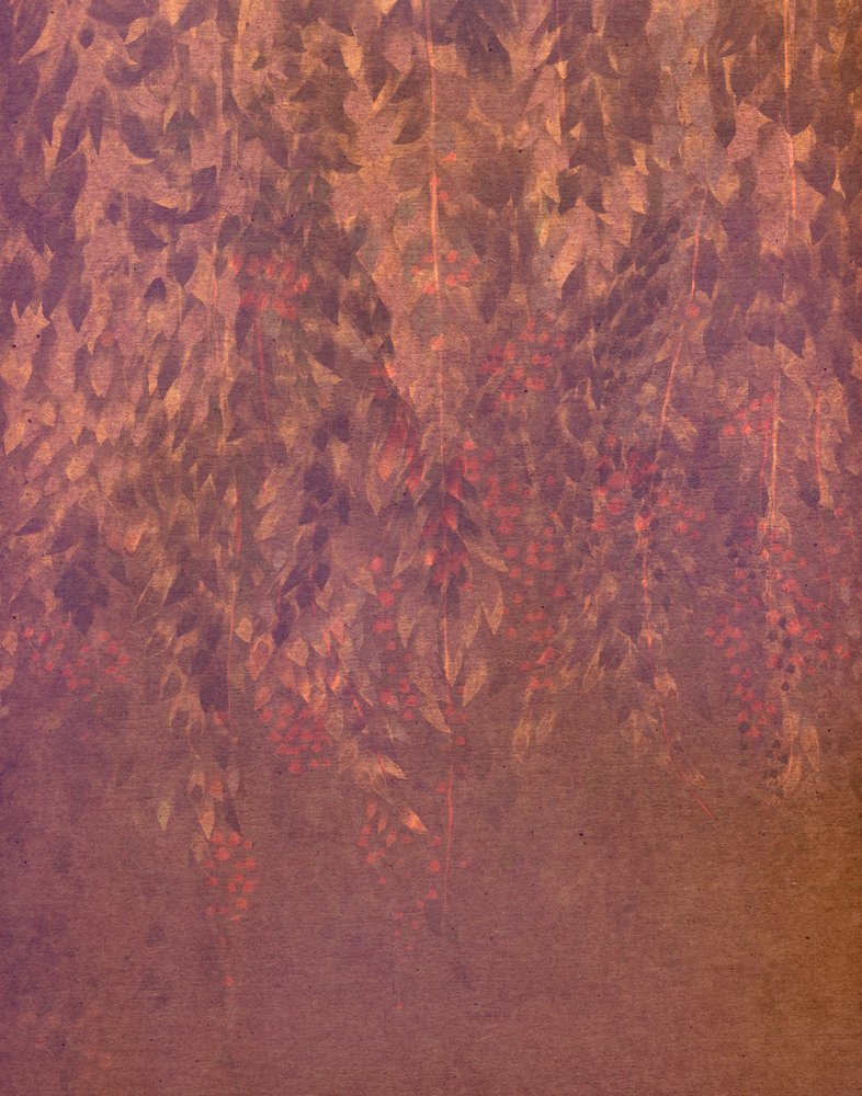 流れ落ちる藤の花 作： 
