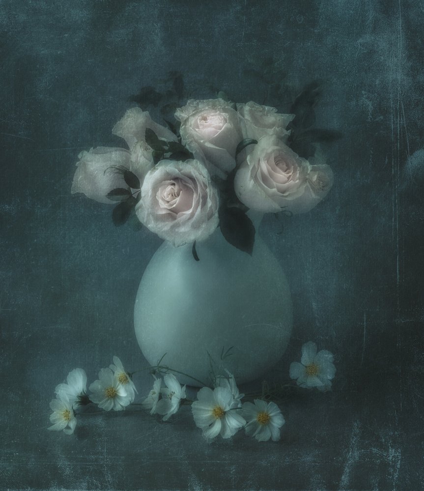 夢のようなパステルカラーのバラ 作： 