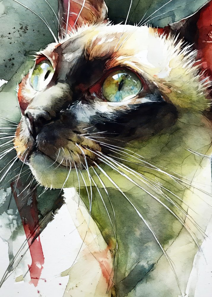 生き生きとしたシャム猫の眼差し 作： 