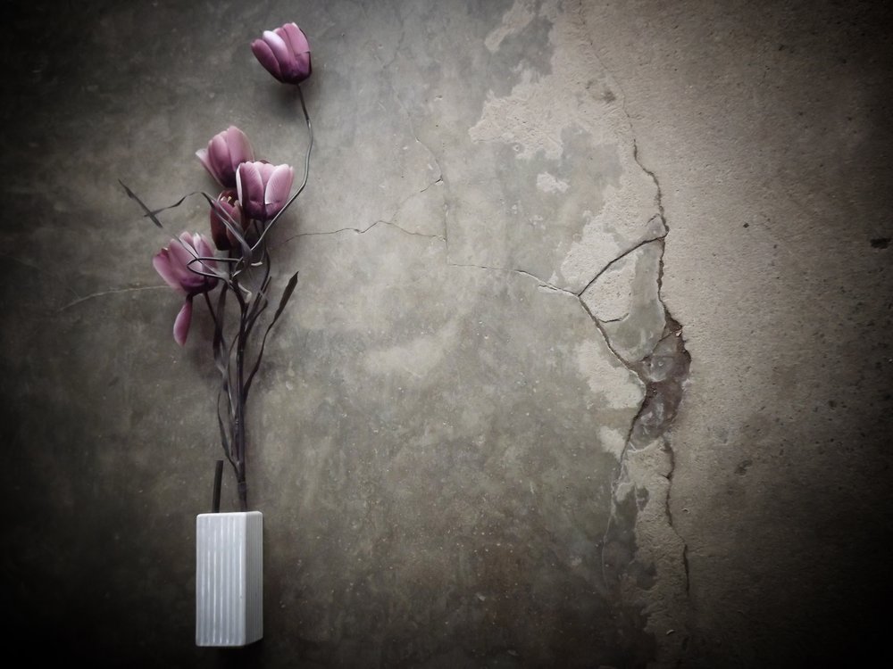 物憂げな紫の花とコンクリート 作： 