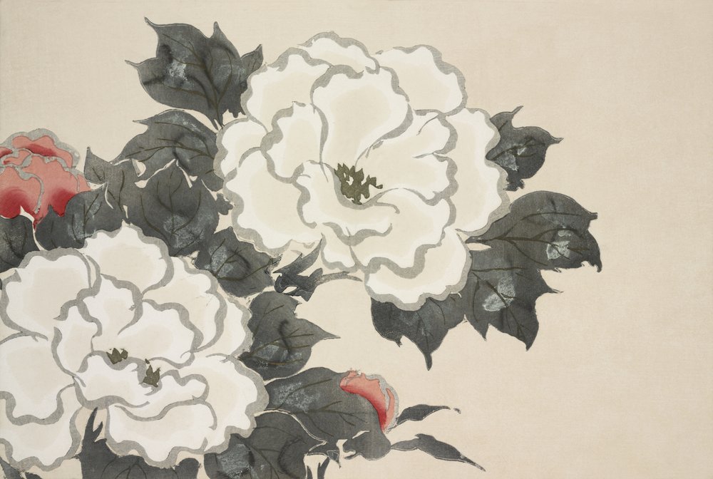  作： 上坂雪花