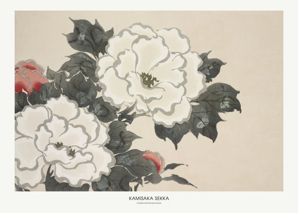 「モモヨグサ」からの花 作： 上坂雪花
