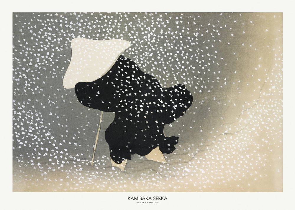桃草からの雪 作： 上坂雪花