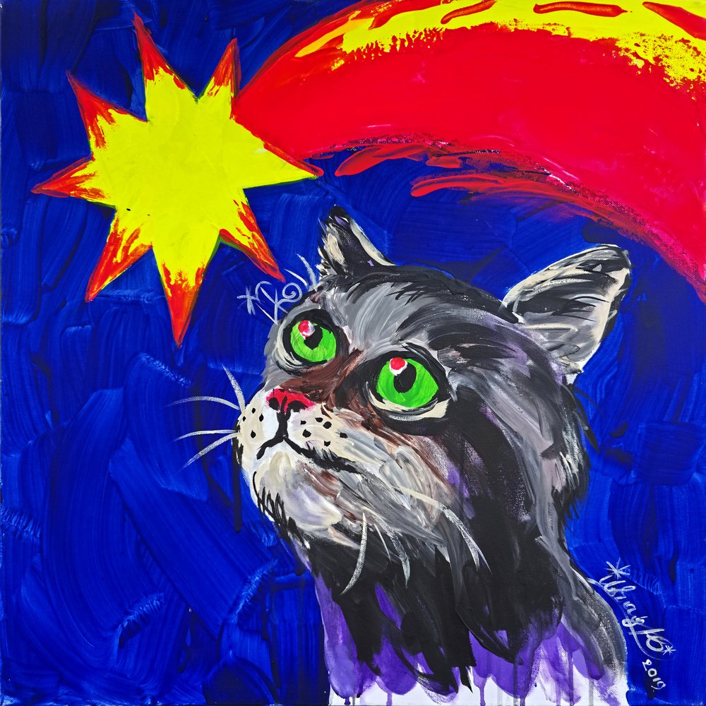 猫と彗星 作： 