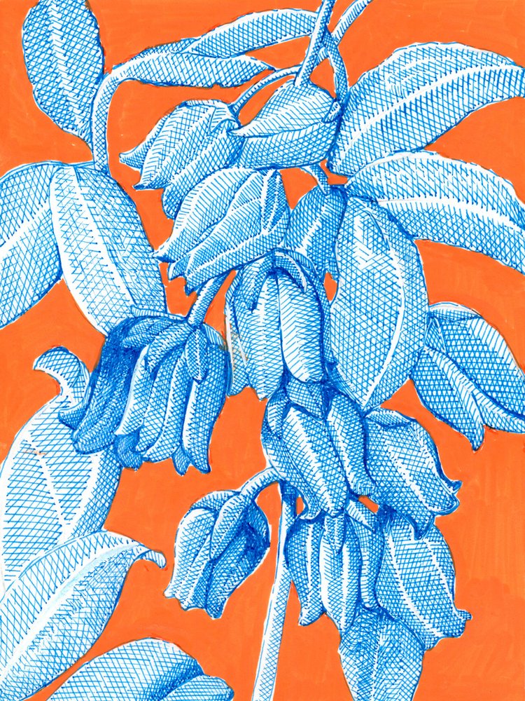 鮮やかな青い植物画 作： 