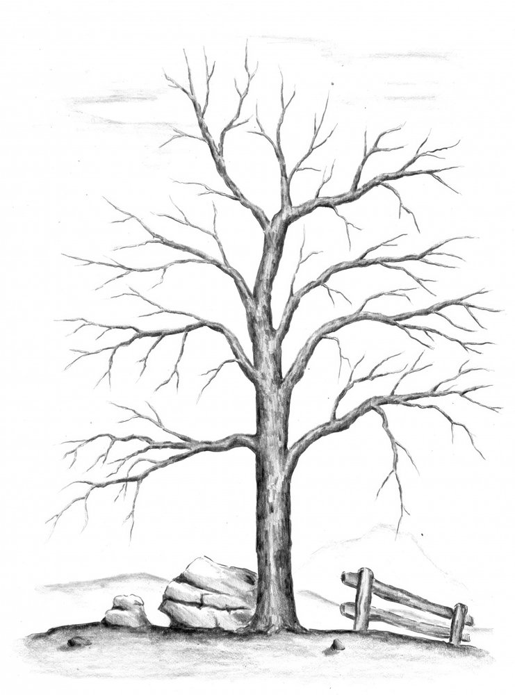  作： 