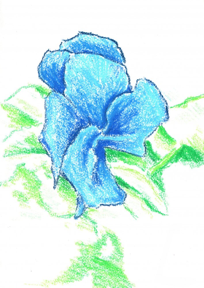  作： 