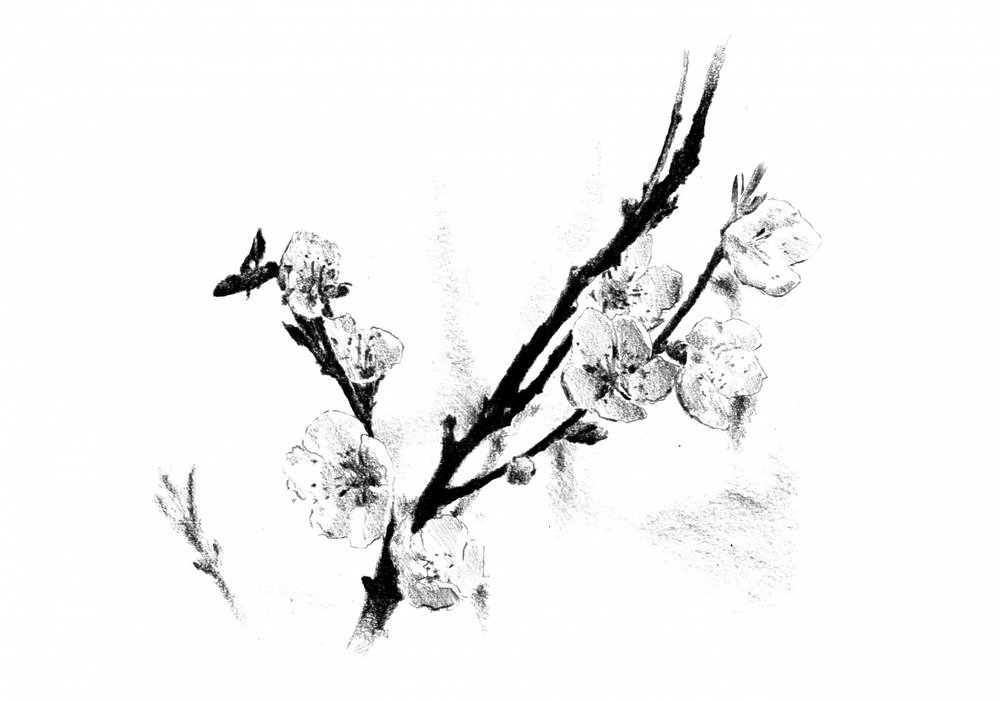  作： 