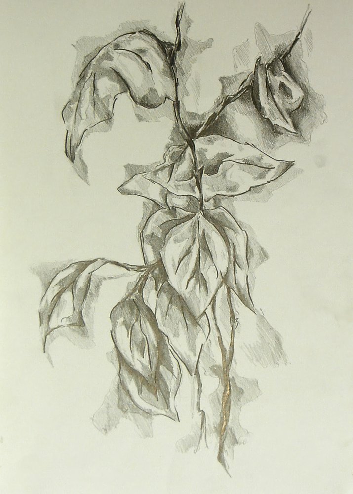  作： 