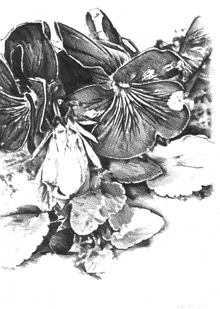  作： 