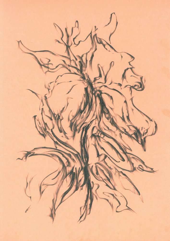  作： 