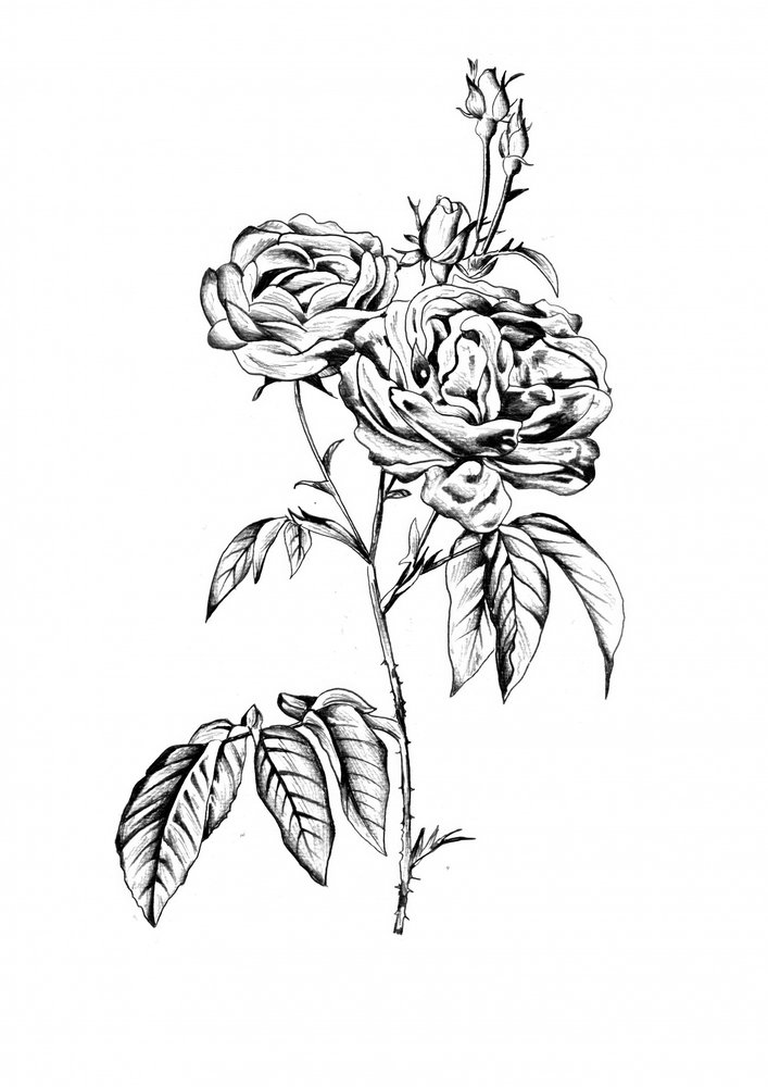  作： 