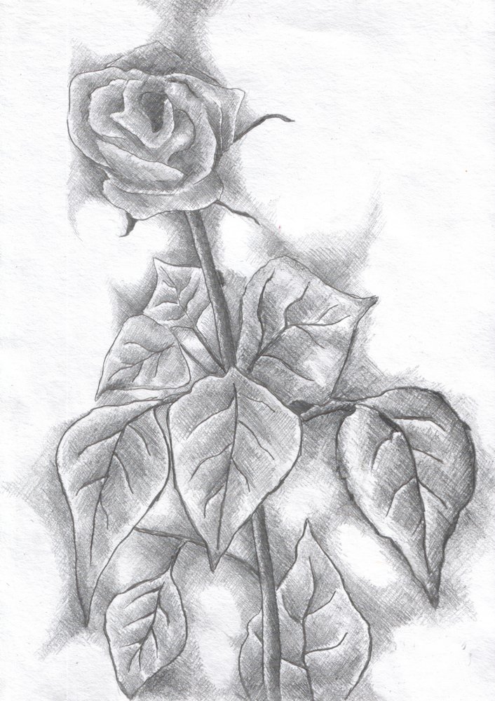  作： 