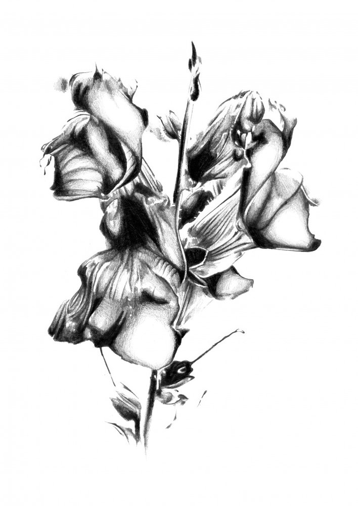 作： 
