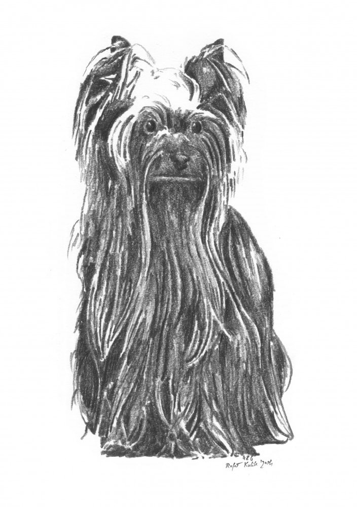  作： 