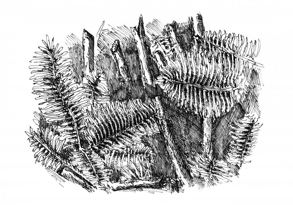  作： 
