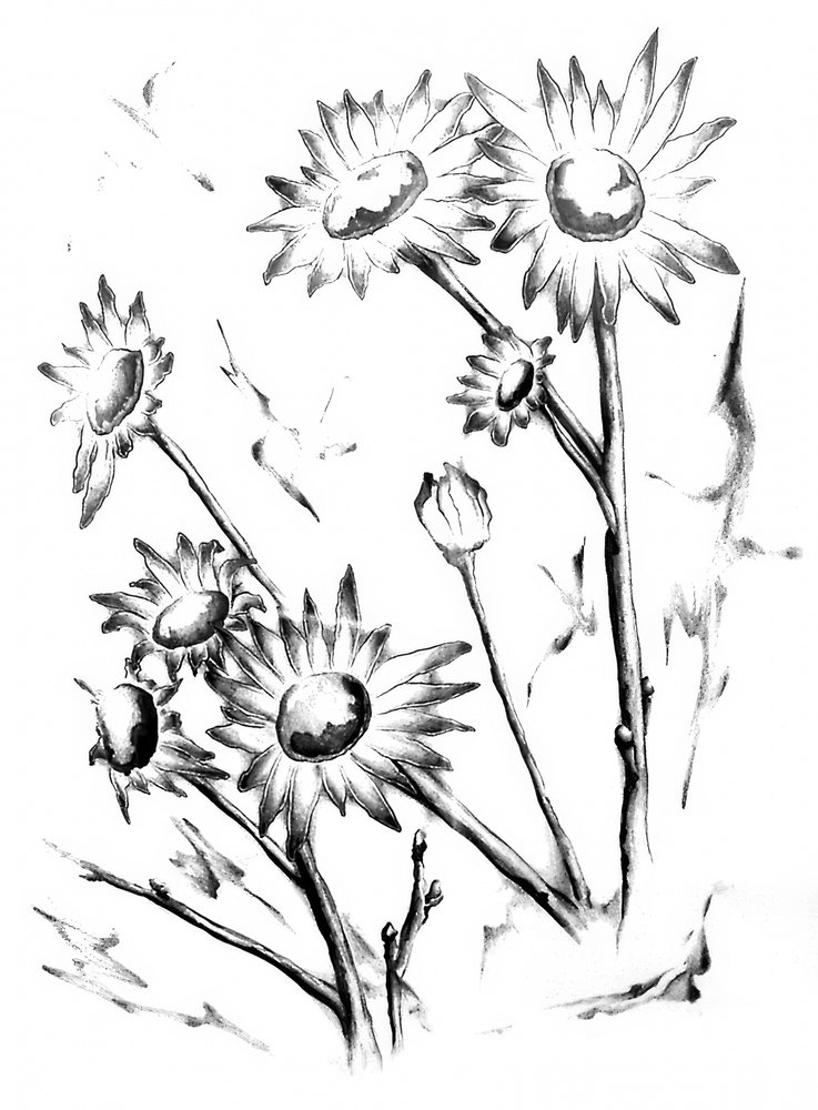  作： 