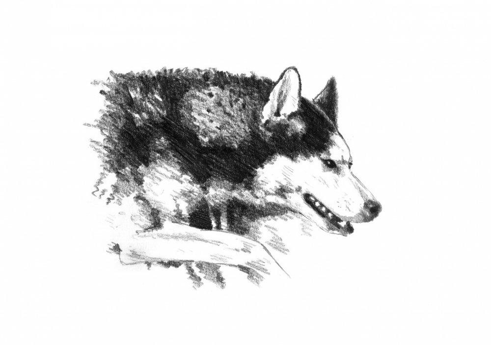  作： 