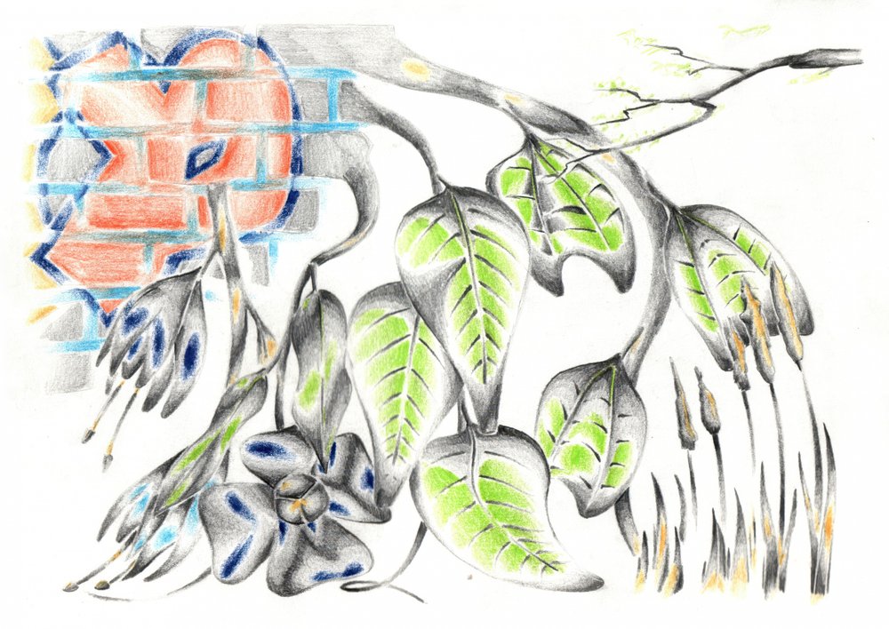  作： 