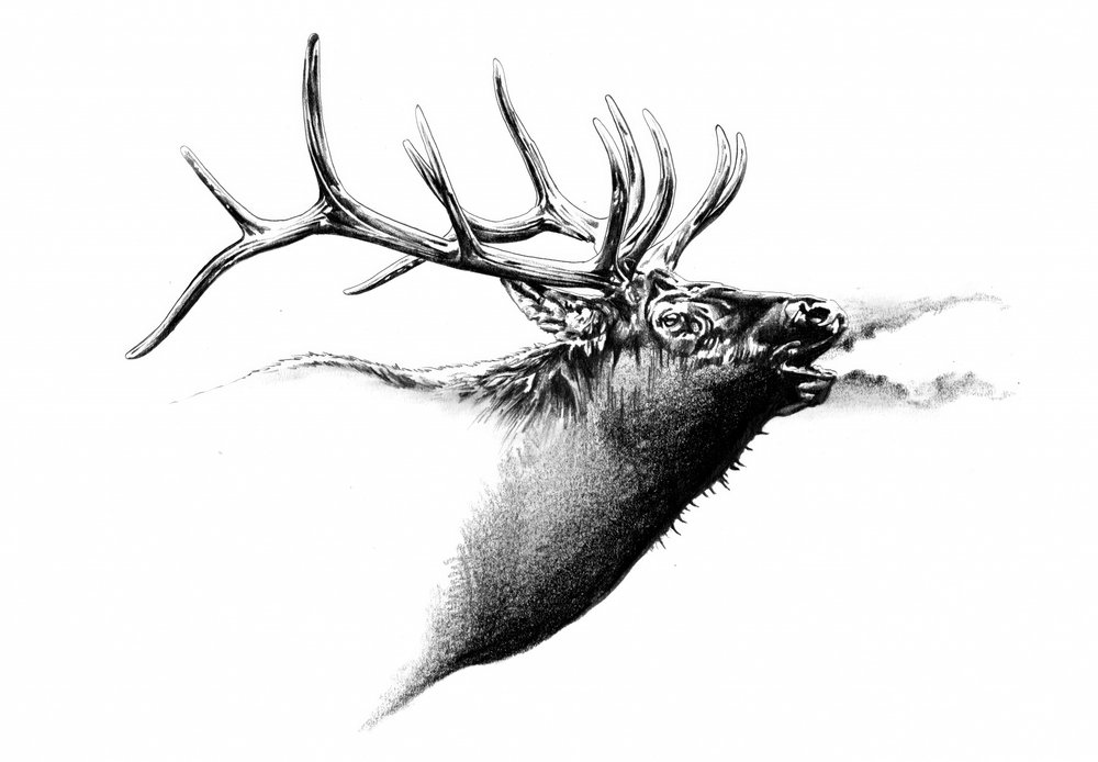  作： 