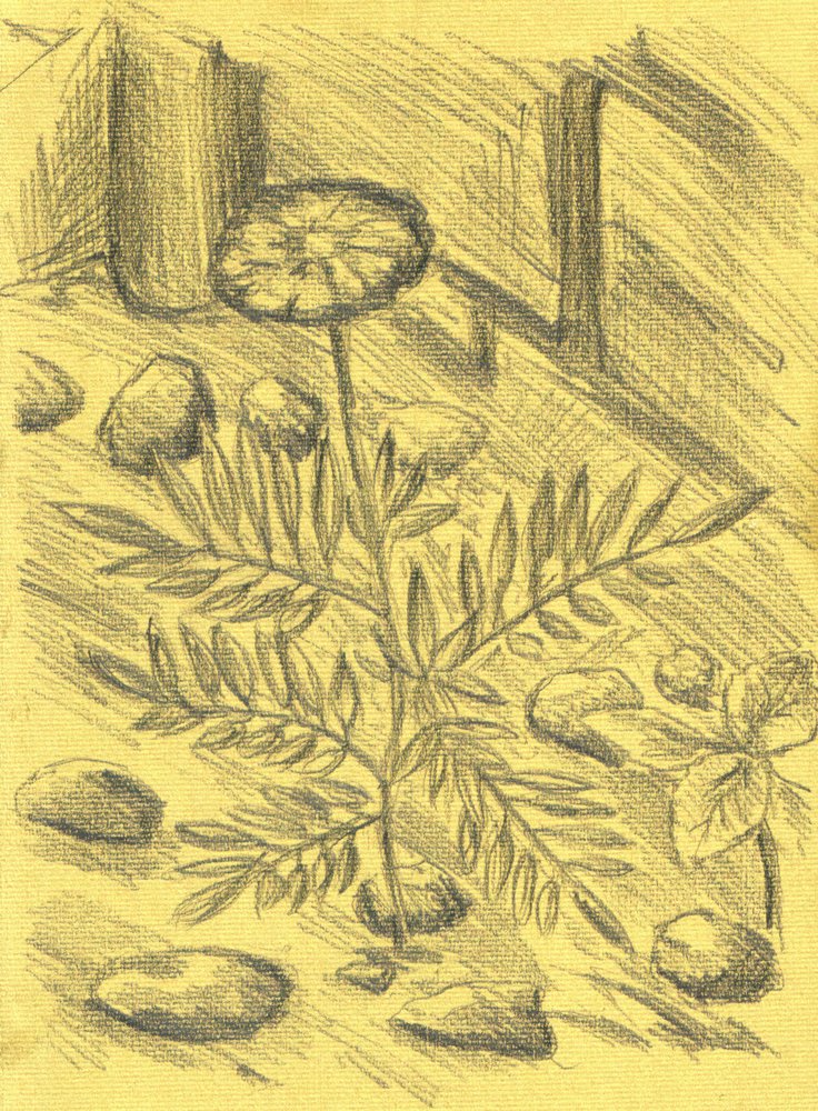  作： 