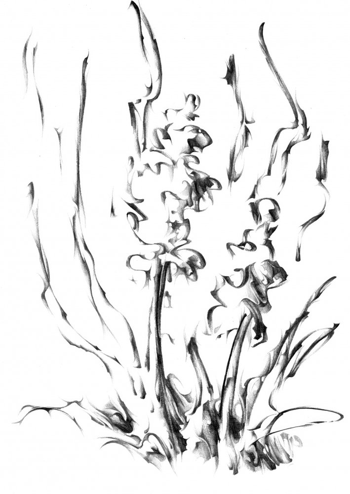  作： 